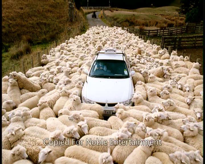 Stillbild 1 ur BLACK SHEEP