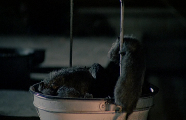 Stillbild 10 ur RATS, NATTENS TERROR