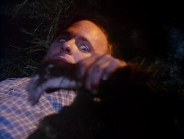 Stillbild 7 ur CREEPSHOW